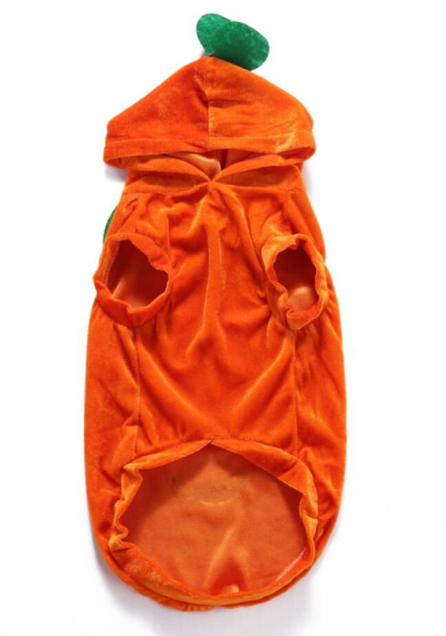 Spider Dog Halloween Pet Costume