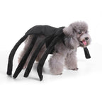 Spider Dog Halloween Pet Costume
