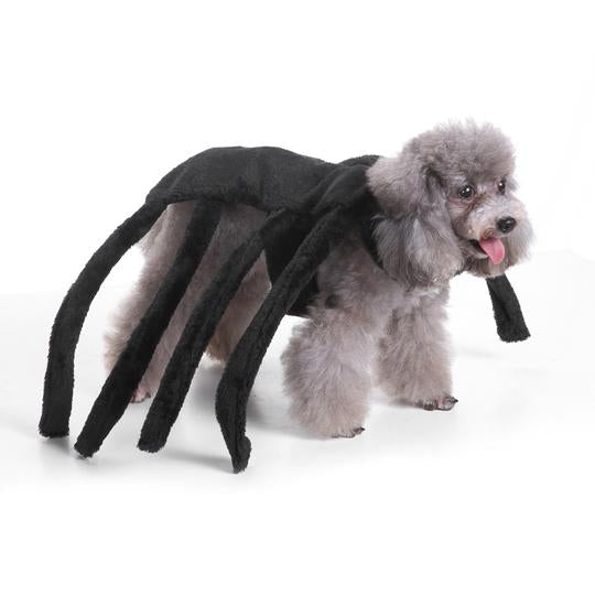 Spider Dog Halloween Pet Costume
