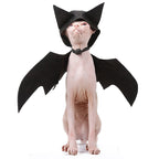 Pet Bat Wings Halloween Costume