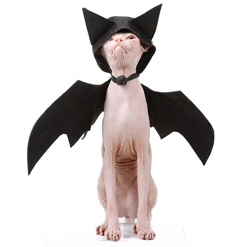 Pet Bat Wings Halloween Costume