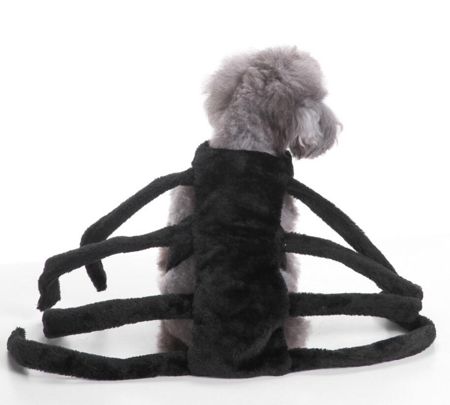 Spider Dog Halloween Pet Costume
