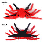 Spider Halloween Costume for Cats & Dogs