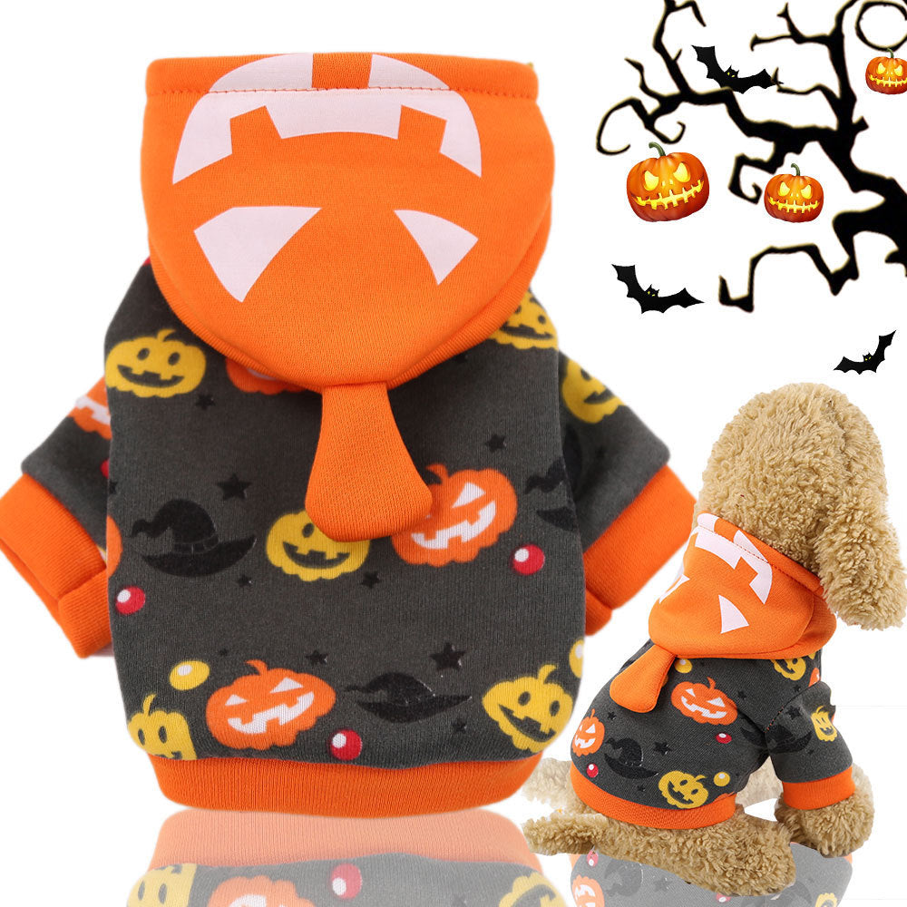 Pumpkin Lamp Dog Halloween Costume