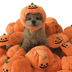 Pumpkin Dog & Cat Halloween Pet Costume Hat