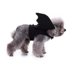 Spider Dog Halloween Pet Costume