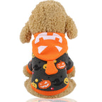 Pumpkin Lamp Dog Halloween Costume