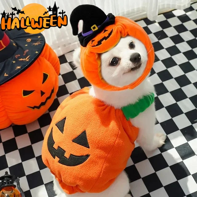 Halloween Pumpkin Vest for Dogs Cats Festive Pet Costume