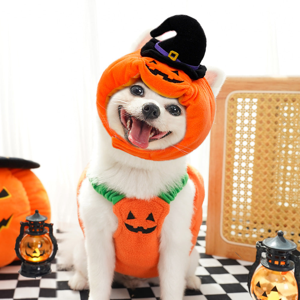 Halloween Pumpkin Vest for Dogs Cats Festive Pet Costume