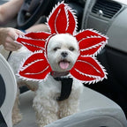 Dog Halloween Chomper Costume - Pet Holiday Demon Hat Scary
