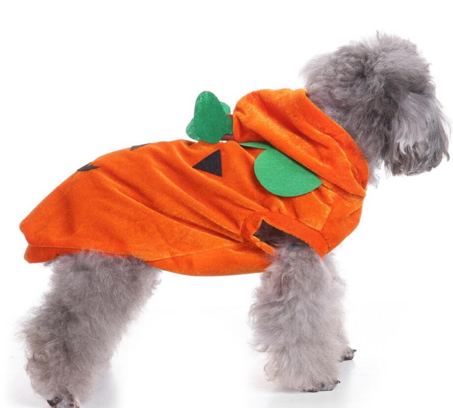 Spider Dog Halloween Pet Costume