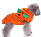 Spider Dog Halloween Pet Costume