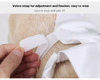 Ghost Pet Halloween Costume for Dogs & Cats