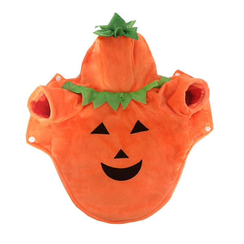 Pumpkin Demon Pet Halloween Costume