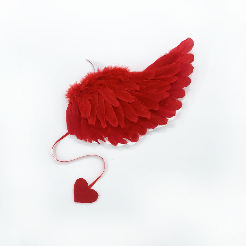 Makeup Costume Props Devil Angel Wings