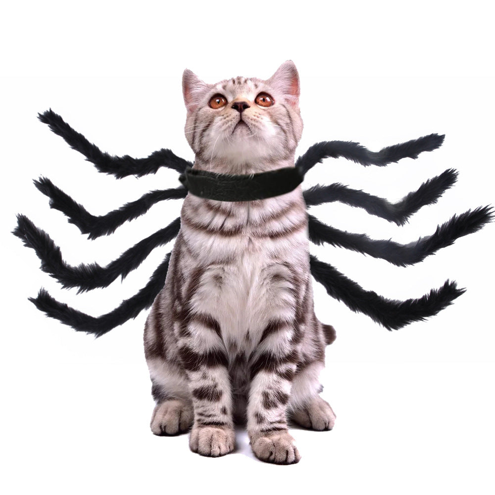 Spider Halloween Costume for Cats & Dogs