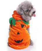 Spider Dog Halloween Pet Costume