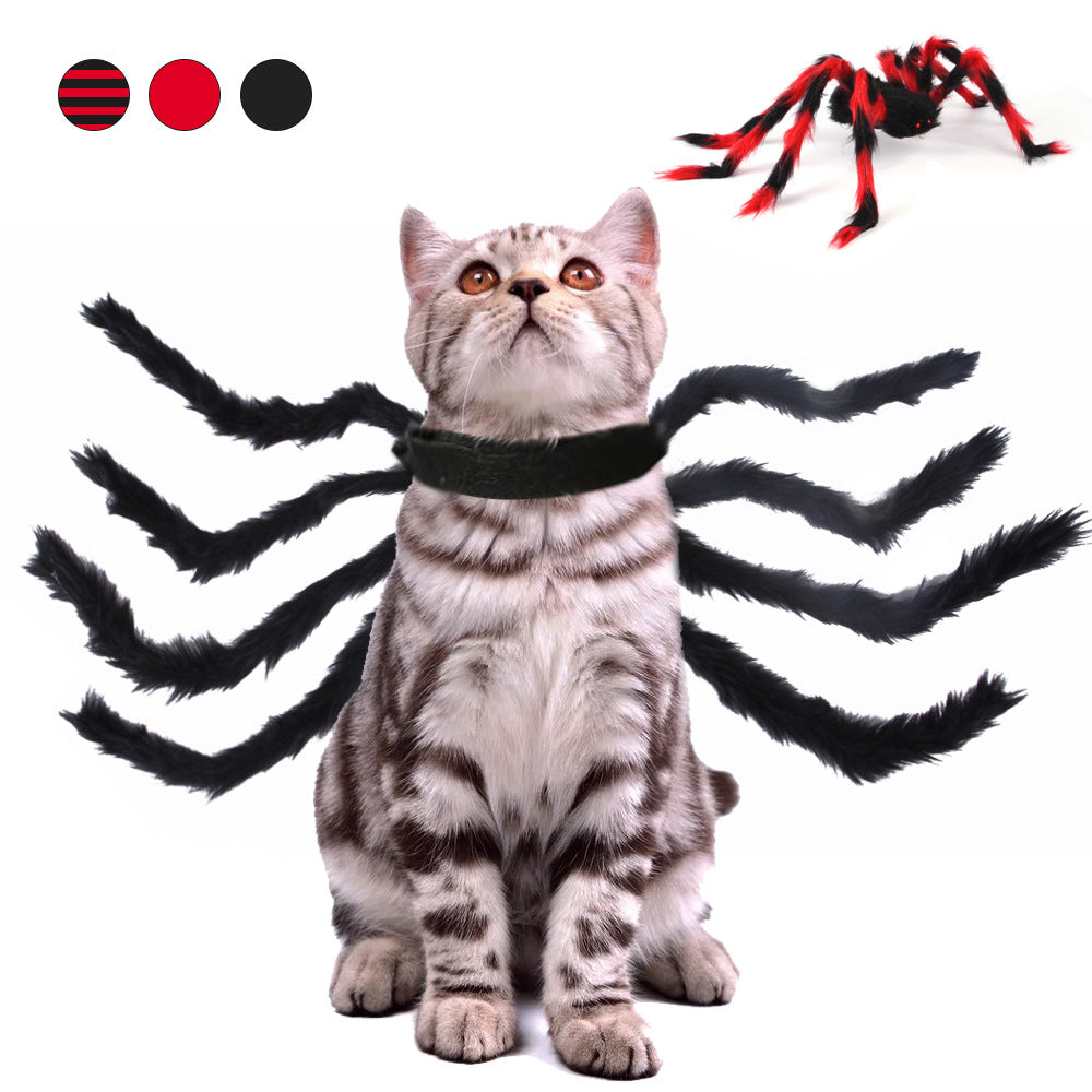 Spider Halloween Costume for Cats & Dogs