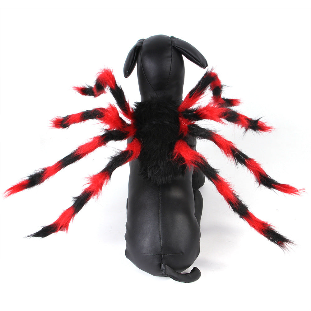 Spider Halloween Costume for Cats & Dogs