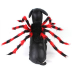 Spider Halloween Costume for Cats & Dogs