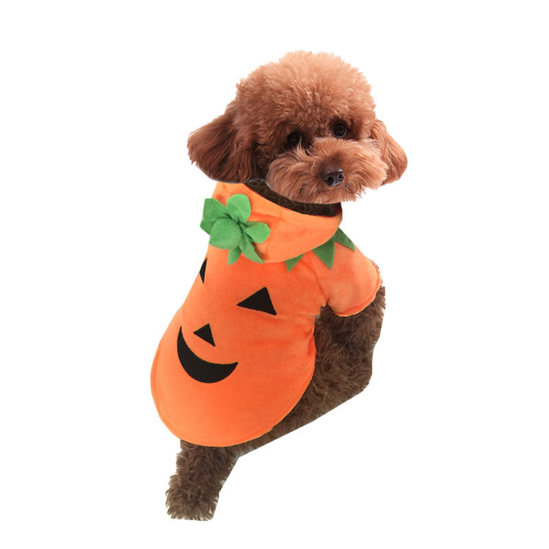 Pumpkin Demon Pet Halloween Costume