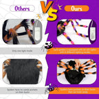 Light-Up Spider Pet Halloween Costume