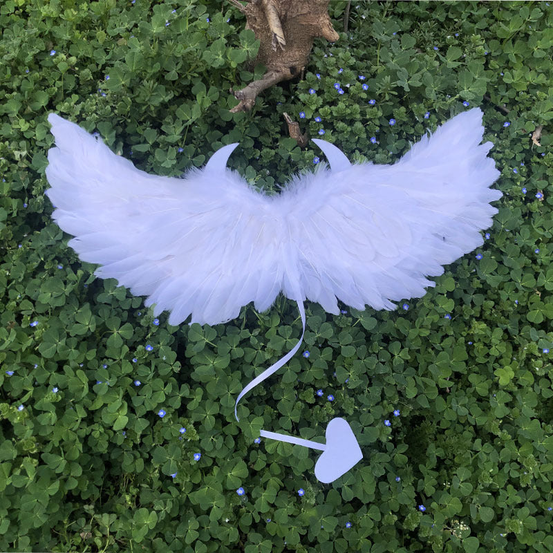 Makeup Costume Props Devil Angel Wings