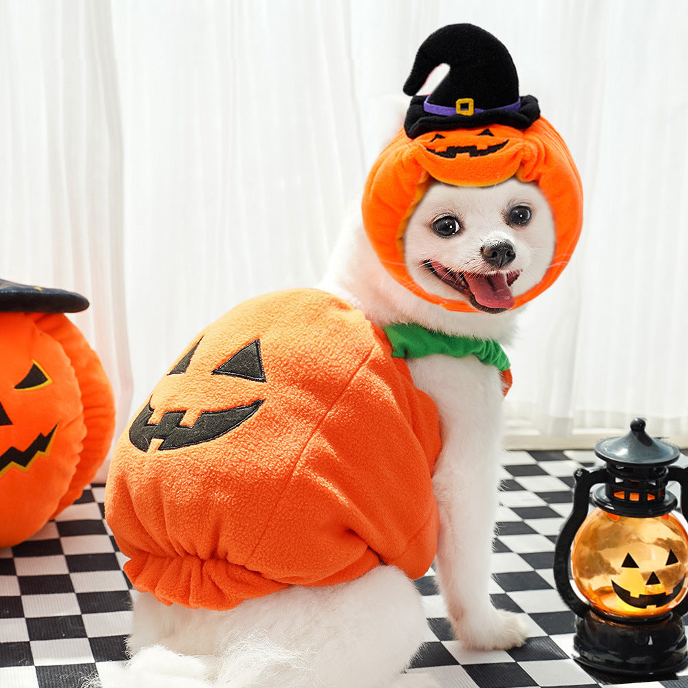 Halloween Pumpkin Vest for Dogs Cats Festive Pet Costume