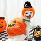 Halloween Pumpkin Vest for Dogs Cats Festive Pet Costume