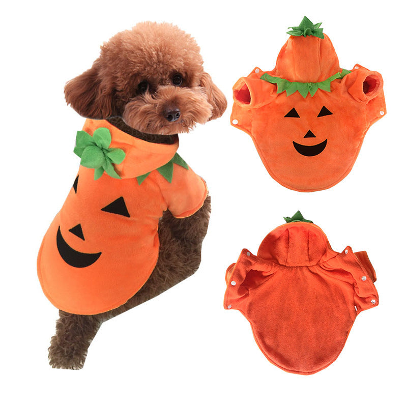Pumpkin Demon Pet Halloween Costume