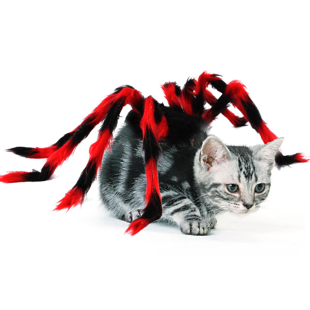 Spider Halloween Costume for Cats & Dogs