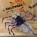 Big Spider Pet Halloween Costume