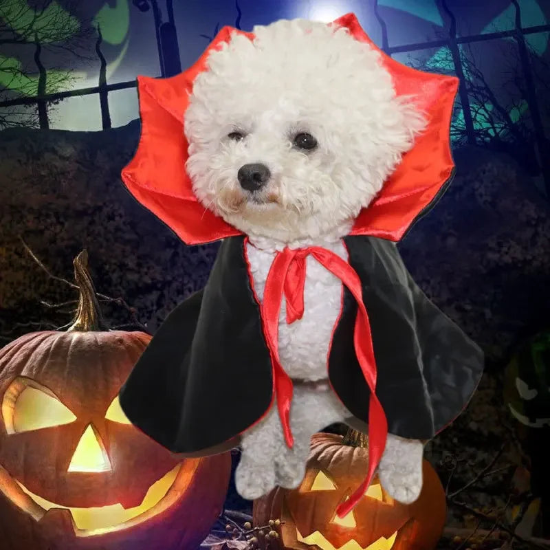 Vampire Cloak Pet Halloween Costume