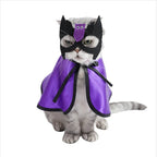Wizard Bat Cloak Pet Halloween Costume