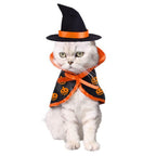 Pet Halloween Cape Hat Set Dogs Cute Costume Pet Party