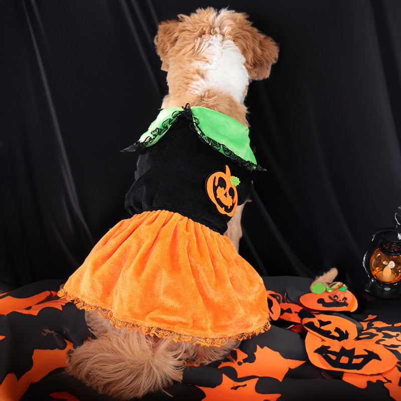 Classic Pumpkin Pet Halloween Skirt