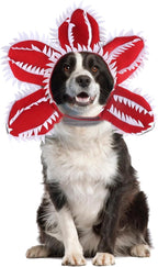 Dog Halloween Chomper Costume - Pet Holiday Demon Hat Scary