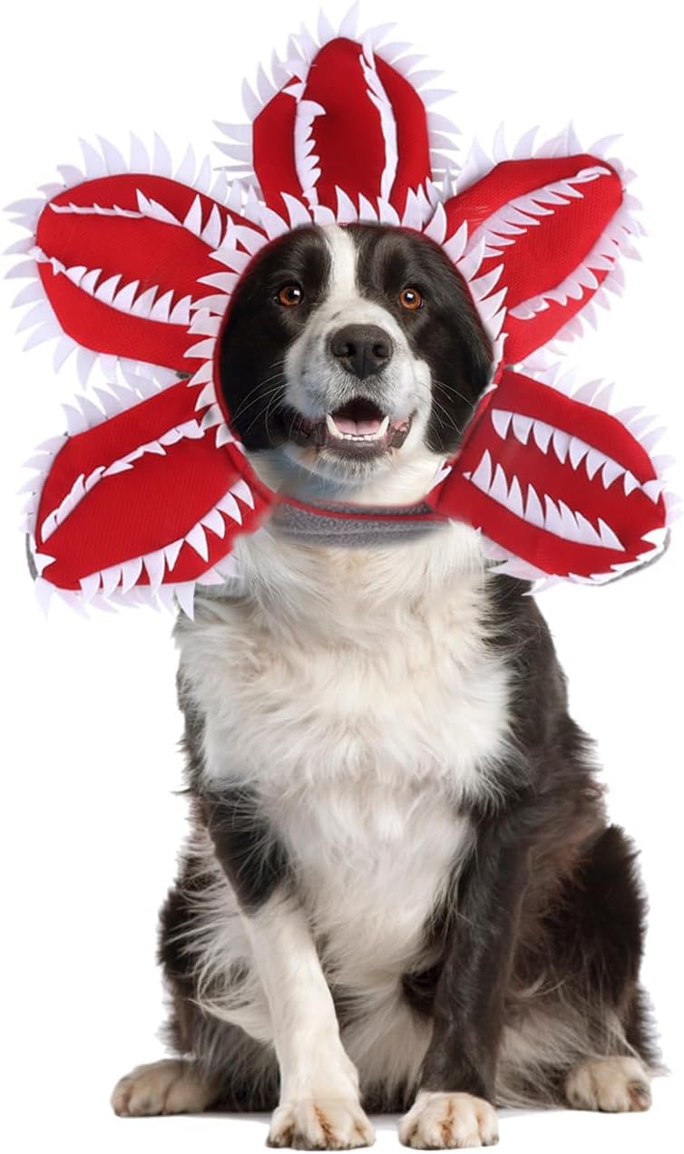 Dog Halloween Chomper Costume - Pet Holiday Demon Hat Scary