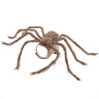 Big Spider Pet Halloween Costume
