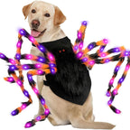 Light-Up Spider Pet Halloween Costume