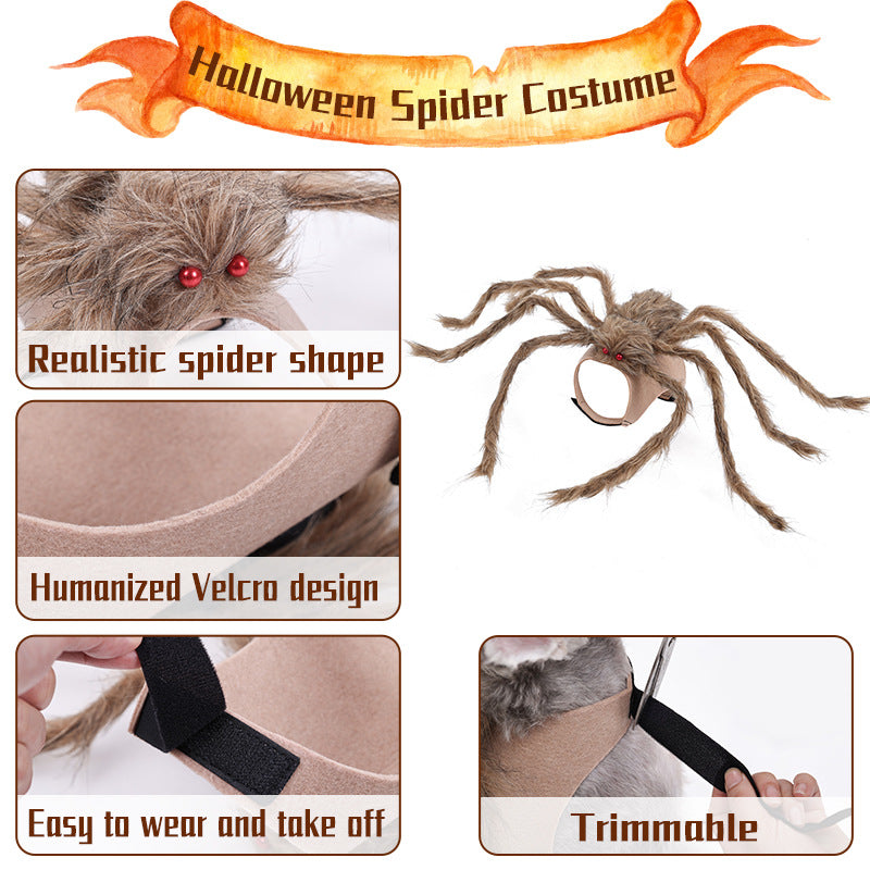 Big Spider Pet Halloween Costume