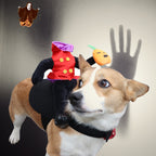 Funny Dog Halloween Costume