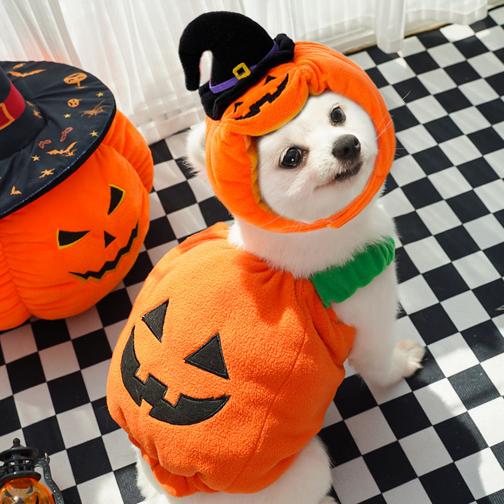 Halloween Pumpkin Vest for Dogs Cats Festive Pet Costume